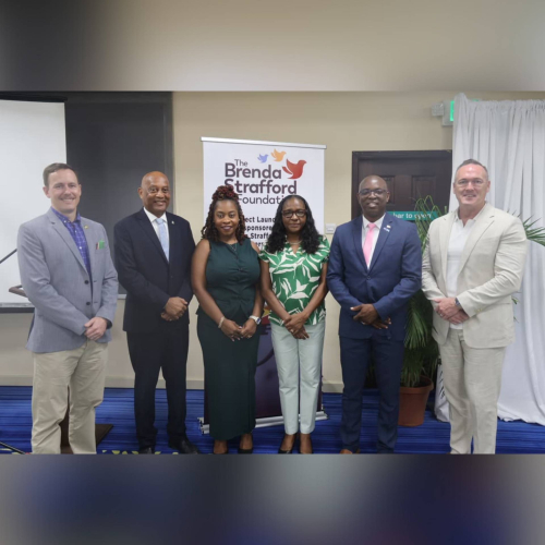OECS Commission and The Brenda Strafford Foundation launch the Regional Eye Health Strategic Plan Project